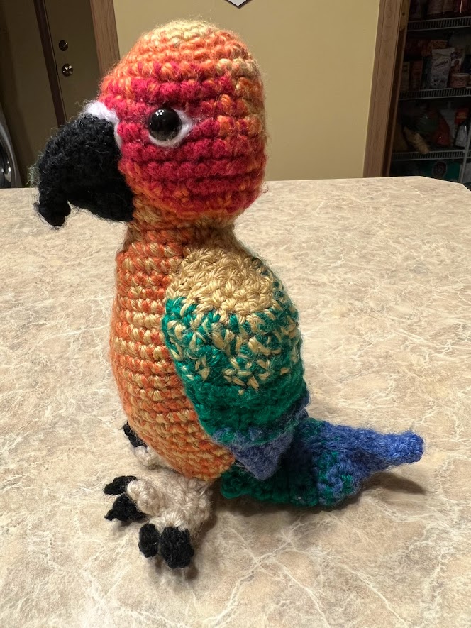 Conure Crochet Amigurumi Crocheted sun conure